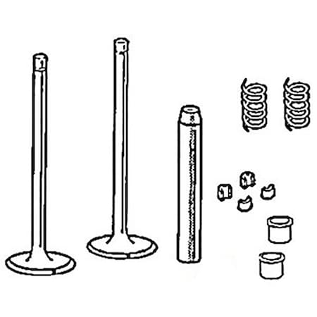 Aftermarket Intake Valve 734106M1